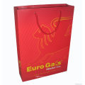 Hot Sales Paper Shopping Bag with Your Logo Printing